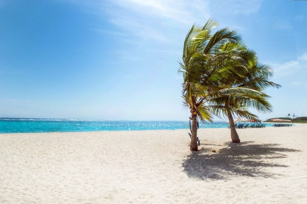 Travel insurance for Indian travellers