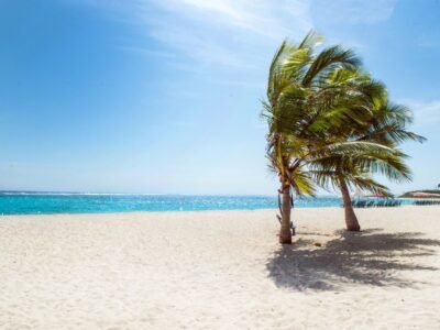Single-Trip vs Multi-Trip Travel Insurance